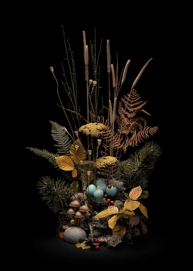 Dark Flora #4 - Autumn Weald, 2019